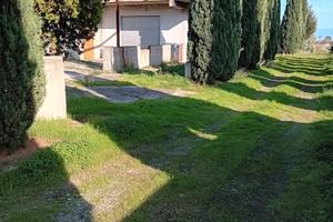 Fabbricato con terreno annesso
