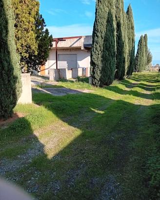 Fabbricato con terreno annesso