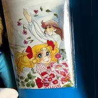 Candy Candy e Terence copertina copri quadernone