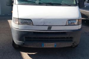 Ducato Maxi