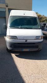 Ducato Maxi
