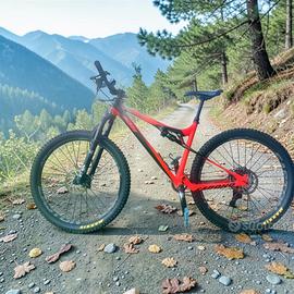 Ktm kapoho 271