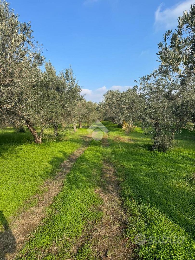 TER. AGRICOLO A SESSA AURUNCA - Vista 3