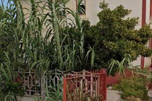 Immobile di 12 appartamenti