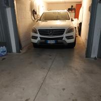 Mercedes ML w166 250