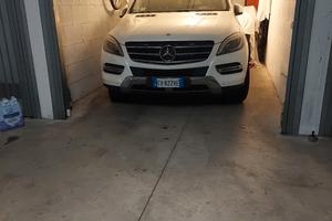 Mercedes ML w166 250