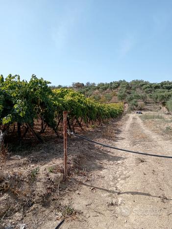 Terreno a 500 metri da canosa