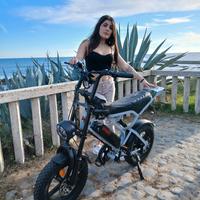 E fat Bike