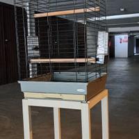 Gabbia per uccelli