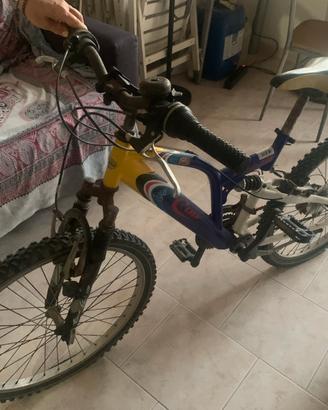 Mountain Bike