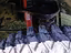 Immagine 15