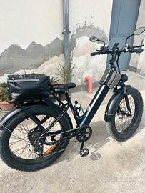 Bici elettrica a pedalara assistita