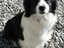 Immagine 4