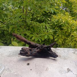 legno per acquario 