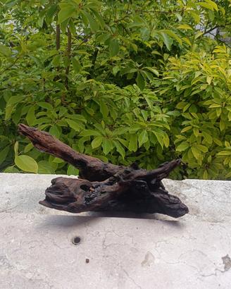 legno per acquario 