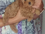 Immagine 6