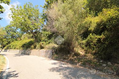 TER. AGRICOLO A ISPANI