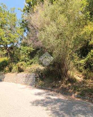 TER. AGRICOLO A ISPANI