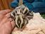 Immagine 3