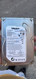 Hard disk interno 320 GB
