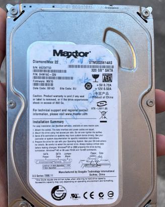 Hard disk interno 320 GB