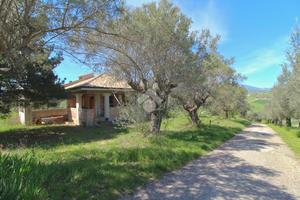 CASA INDIPENDENTE A BELLANTE