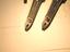 Immagine 3