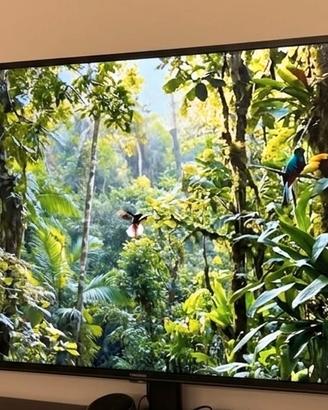 Hisense 43’ ULTRA HD 4K SLIM