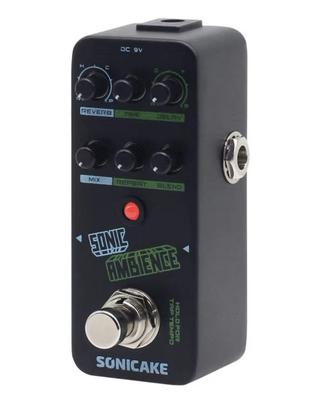 coppia di Sonicake Sonic Ambience (reverb + delay)
