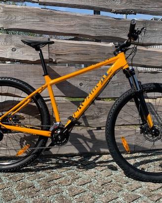 MTB BERGAMONT REVOX 4 29"