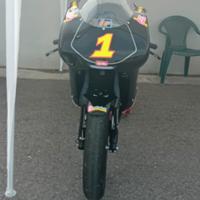 Aprilia RS 125 TUTTA ACCESSORIATA