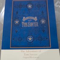 the Adventure of Tom Sawyer 