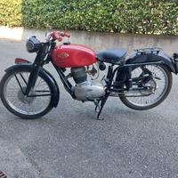 Gilera Altro modello - 1953