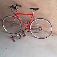 Bicicletta da uomo per allenamento o cicloturismo