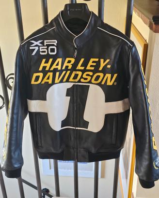 Giubbotto HD edizione limitata taglia L