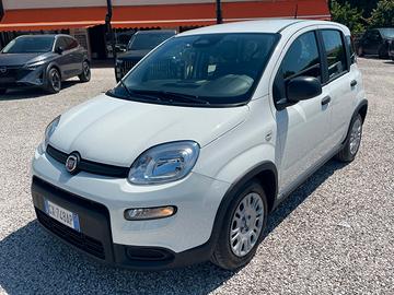 Fiat Panda 1.0 FireFly S&S Hybrid Pandina