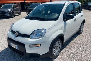 Fiat Panda 1.0 FireFly S&S Hybrid Pandina