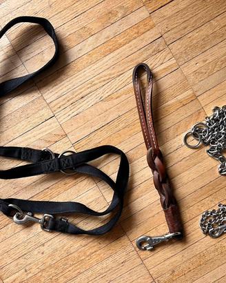 Accessori per cane