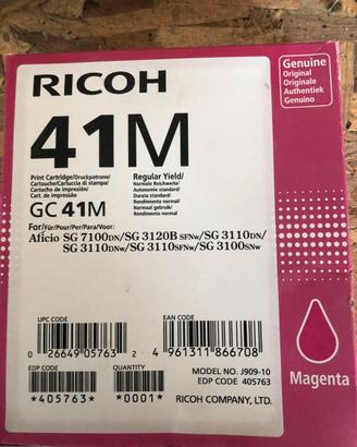 Cartuccia per stampante ricoh 41 m