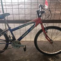 Bici da 24 pollici con le marce 