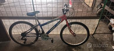 Bici da 24 pollici con le marce 