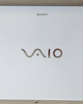 Sony Vaio SVF1521G6EW Guasto