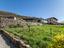 Immagine 23
