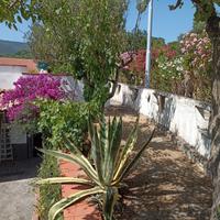 Villetta 150 MQ Caprioli 4km Palinuro CILENTO