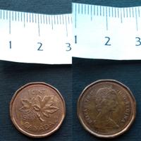 CANADA 1 Cent 1989 (Dollaro canadese) 🇨🇦