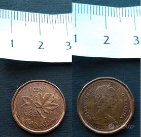 CANADA 1 Cent 1989 (Dollaro canadese) 🇨🇦