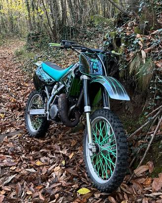Kawasaki Kx 125