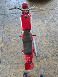 Guzzi Lodola Regolarità