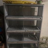 batteria per canarini da sistemare