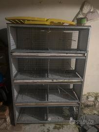 batteria per canarini da sistemare